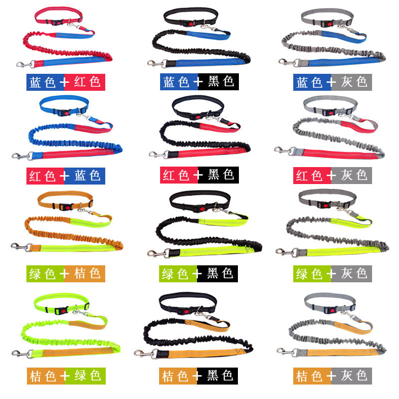 Dog Walking & Training Rope Leash