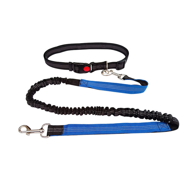 Dog Walking & Training Rope Leash