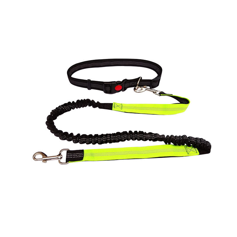 Dog Walking & Training Rope Leash