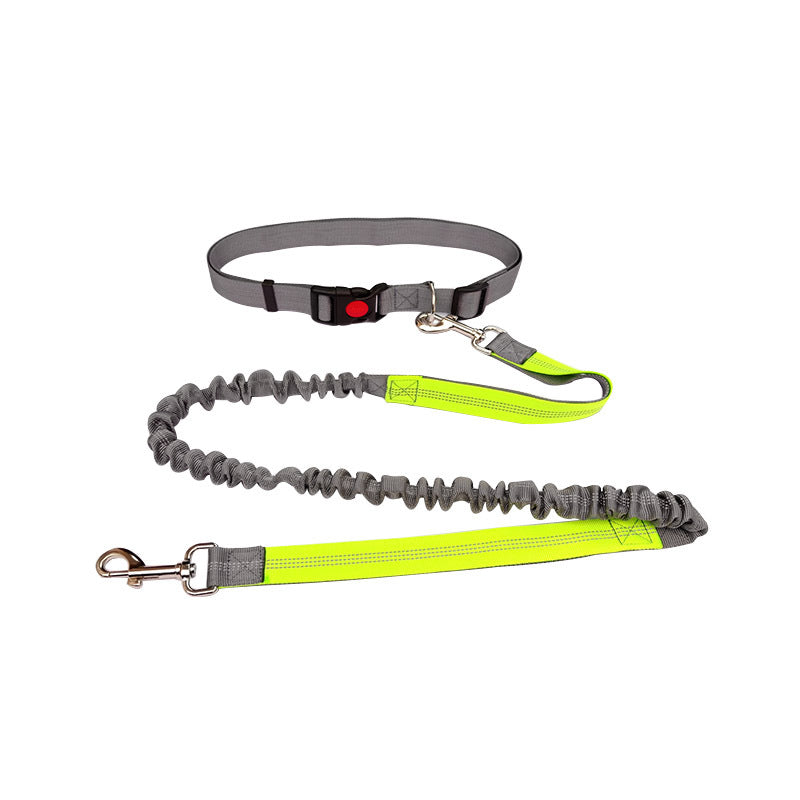 Dog Walking & Training Rope Leash