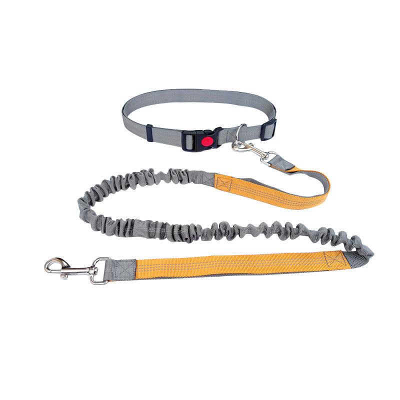 Dog Walking & Training Rope Leash