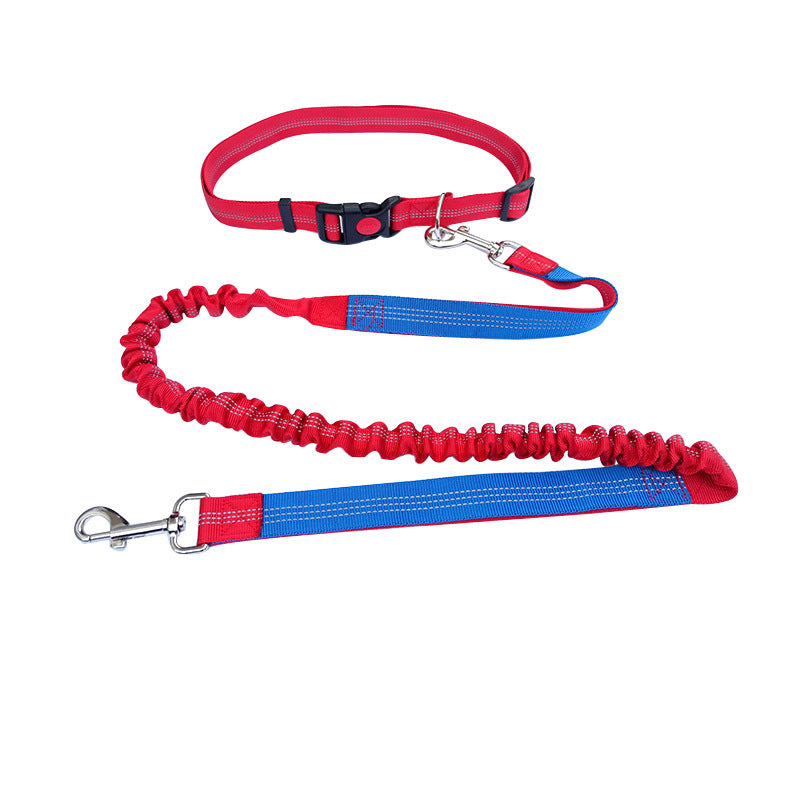 Dog Walking & Training Rope Leash