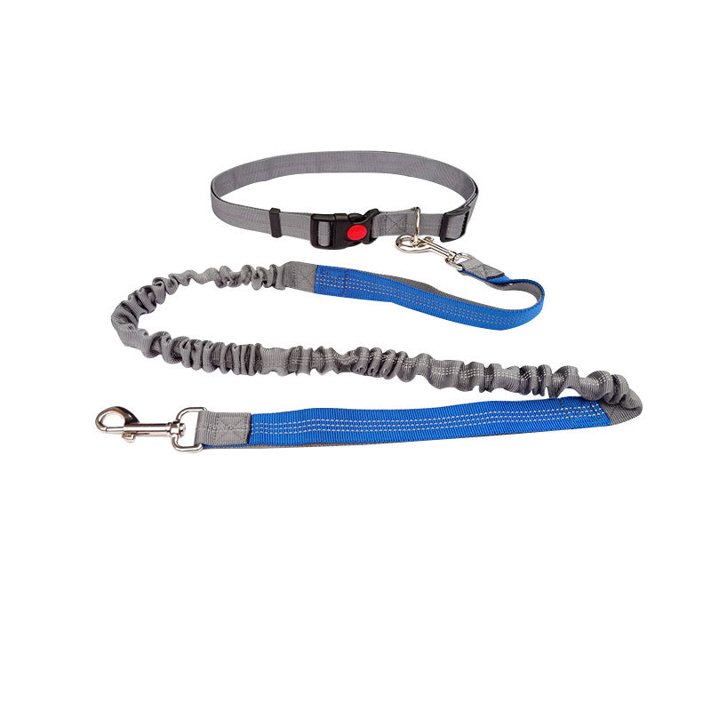Dog Walking & Training Rope Leash