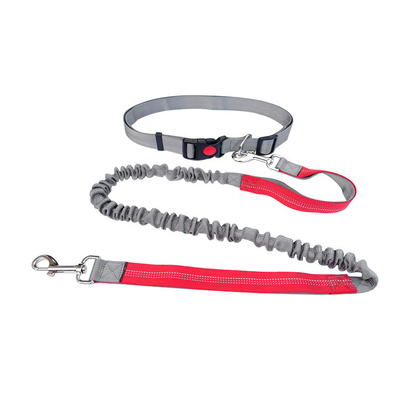 Dog Walking & Training Rope Leash