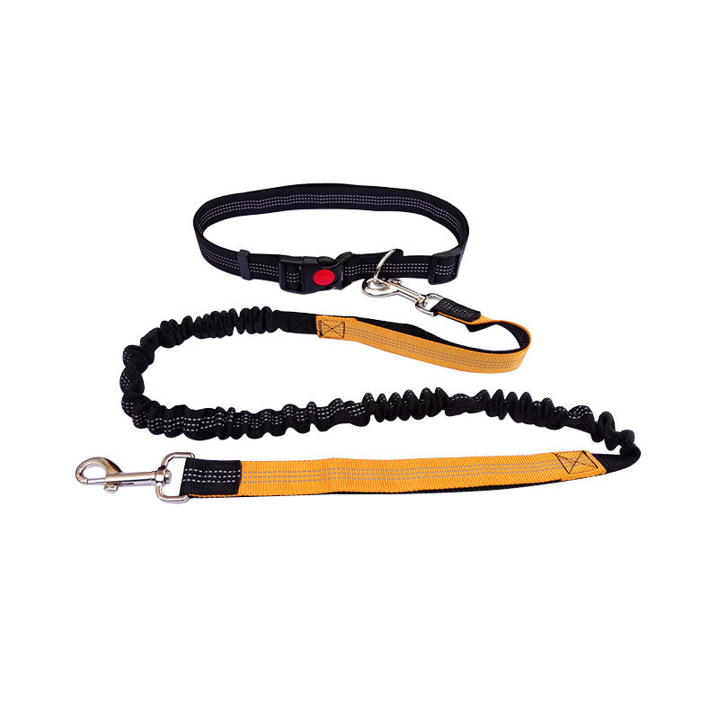 Dog Walking & Training Rope Leash