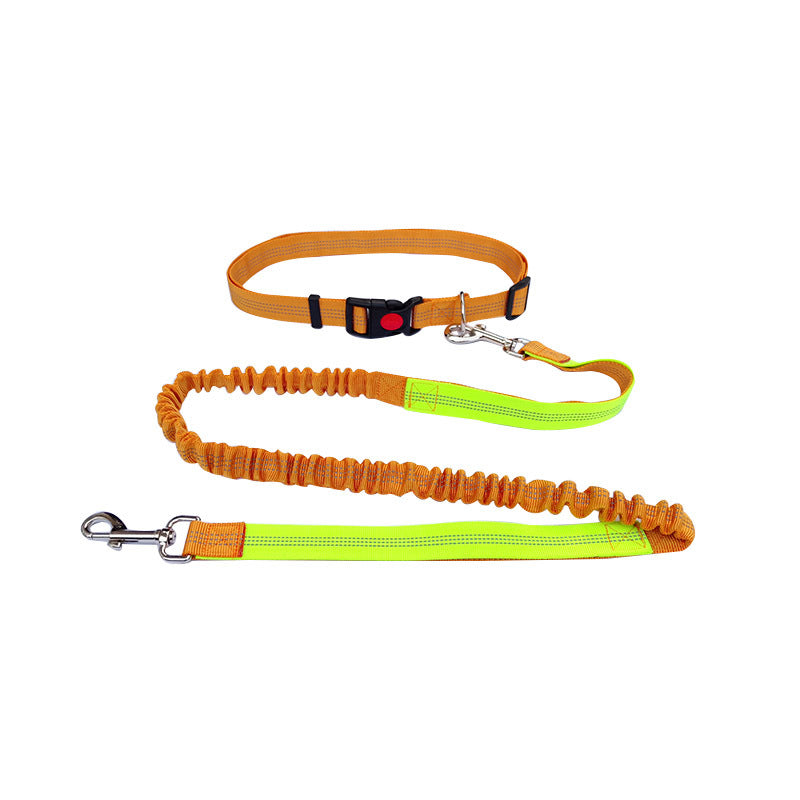Dog Walking & Training Rope Leash