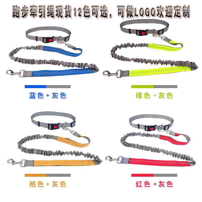 Dog Walking & Training Rope Leash