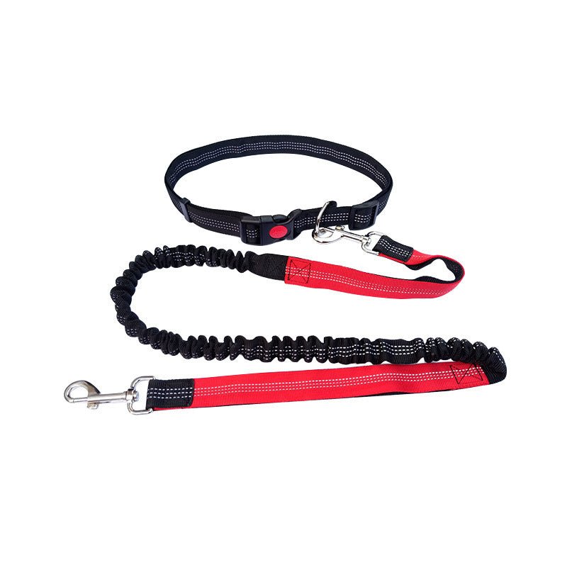 Dog Walking & Training Rope Leash