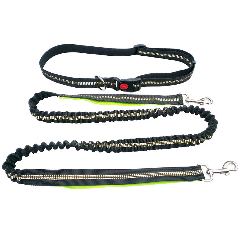 Dog Walking & Training Rope Leash