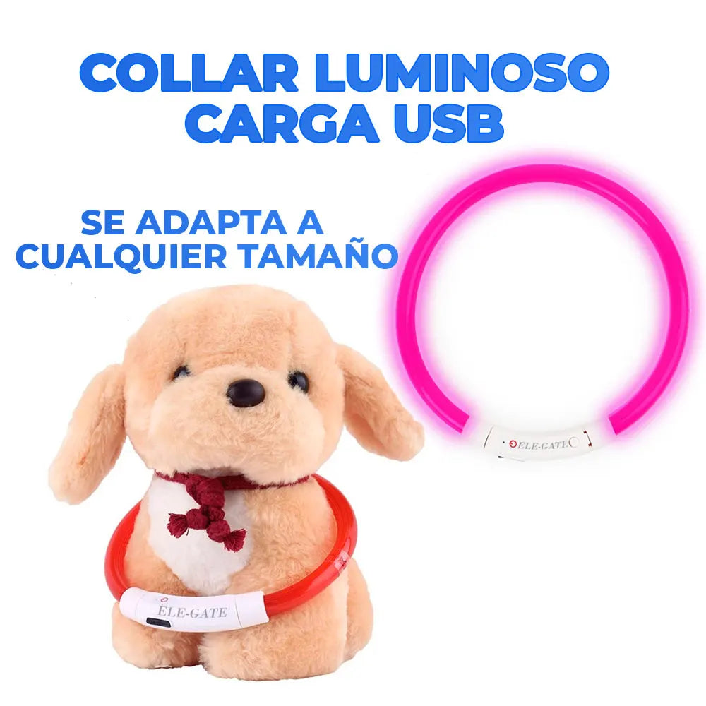 USB Rechargeable LED Pet Collar