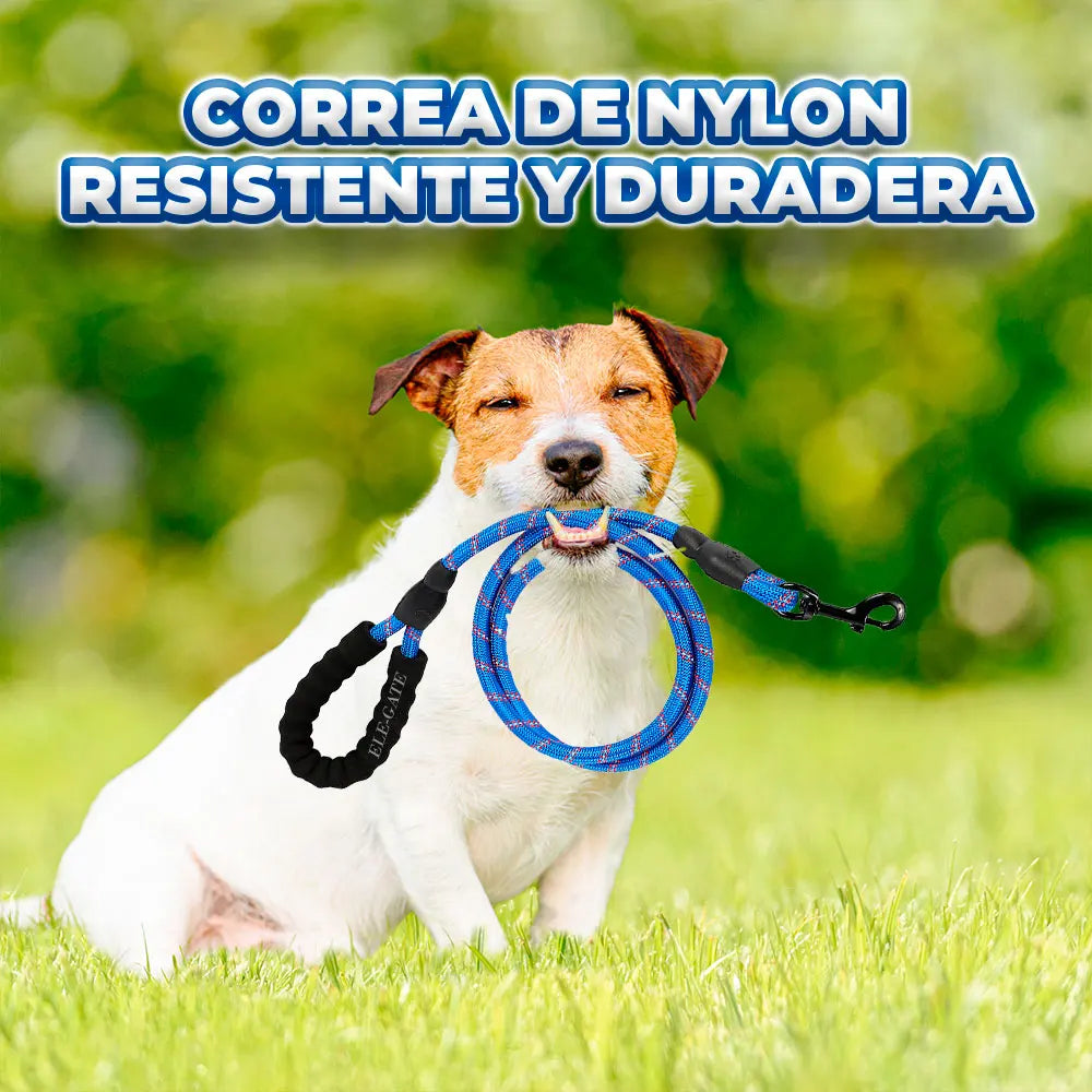 2m Reflective Double-Handle Dog Leash