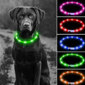 USB Rechargeable LED Pet Collar