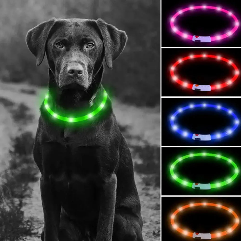 USB Rechargeable LED Pet Collar