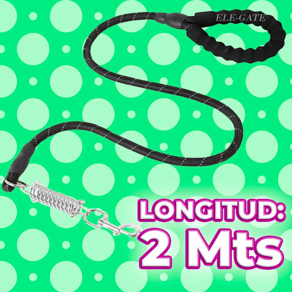2m Heavy-Duty Nylon Dog Leash