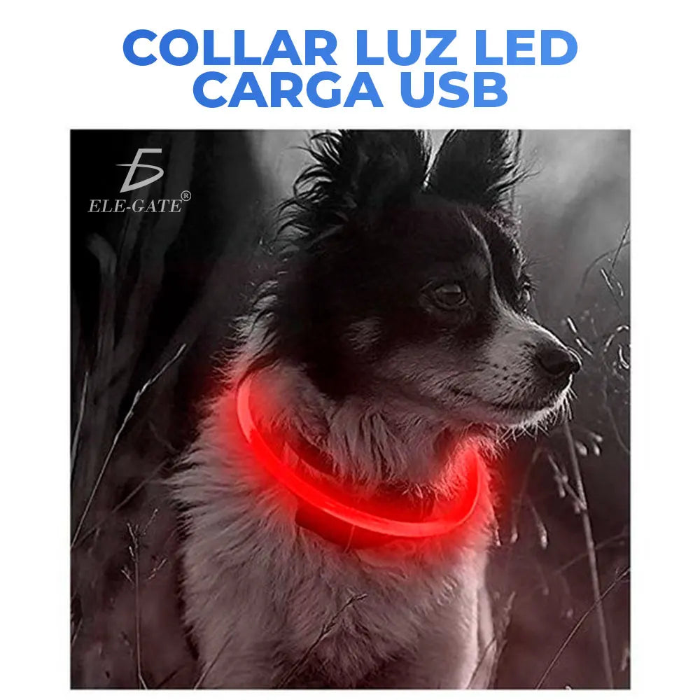 USB Rechargeable LED Pet Collar