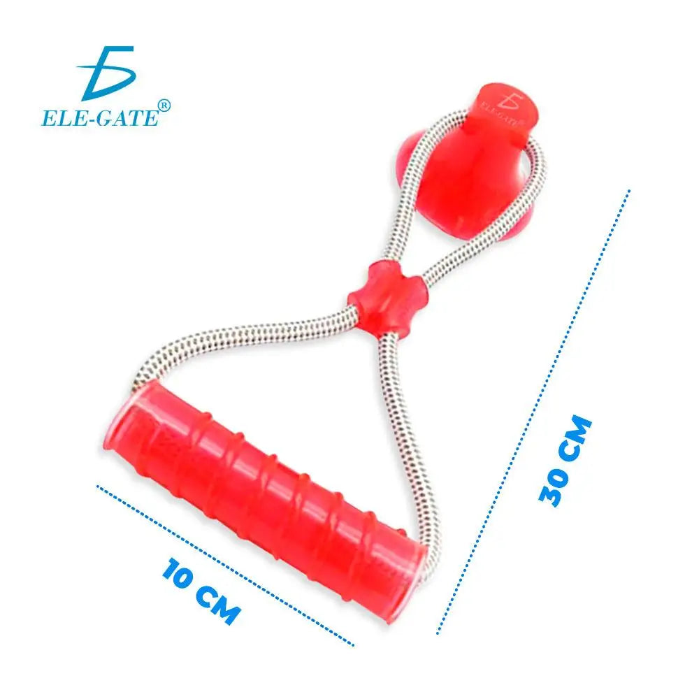 Interactive Dog Chew Toy