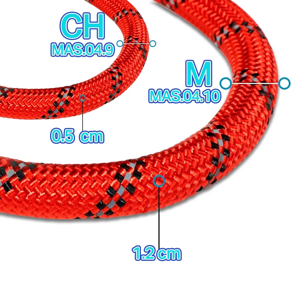 2m Heavy-Duty Nylon Dog Leash