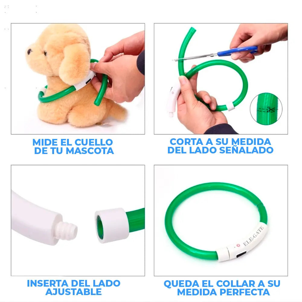 USB Rechargeable LED Pet Collar