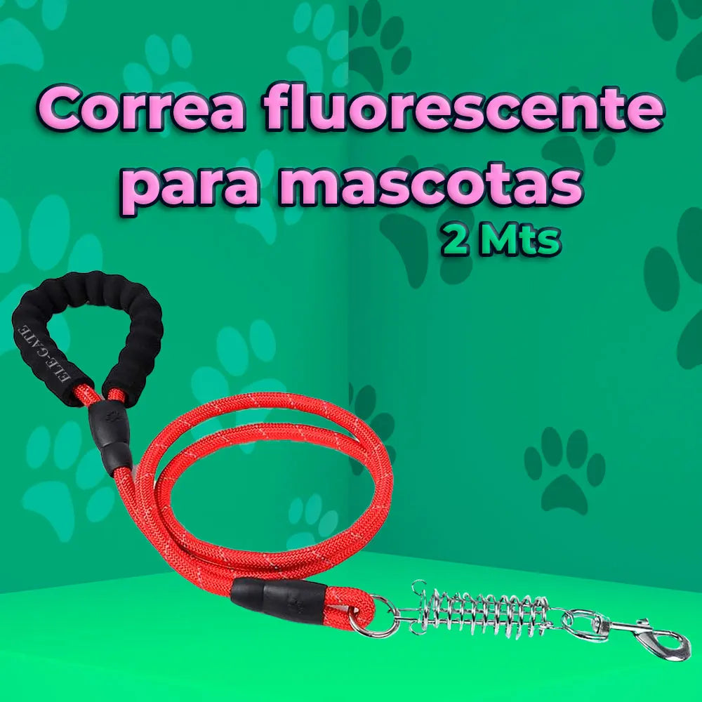 2m Heavy-Duty Nylon Dog Leash