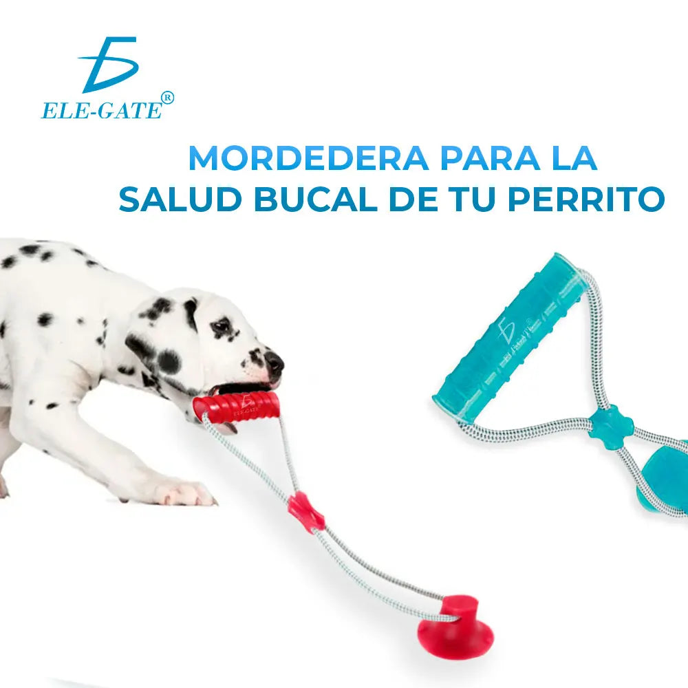 Interactive Dog Chew Toy