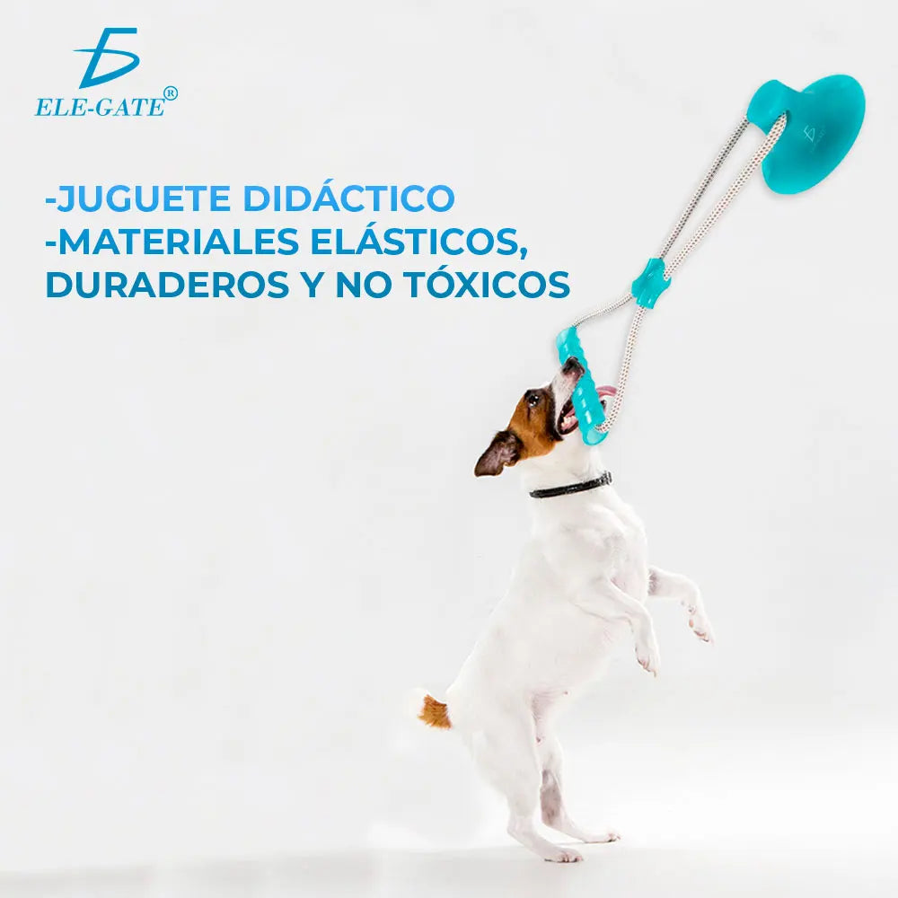 Interactive Dog Chew Toy