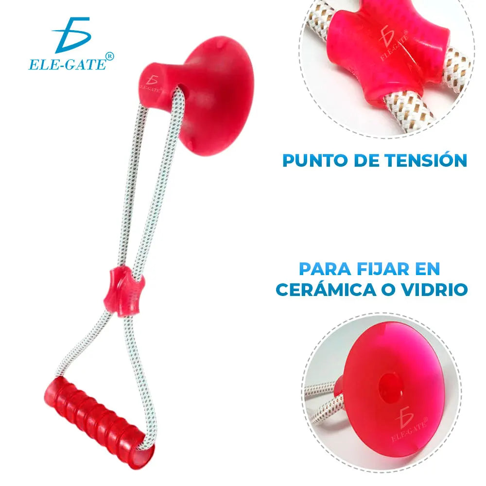 Interactive Dog Chew Toy
