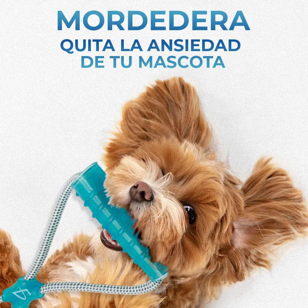Interactive Dog Chew Toy