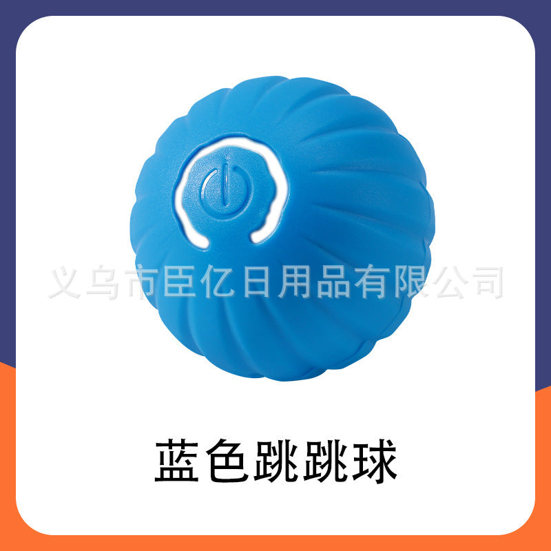 Interactive Cat Teaser Ball