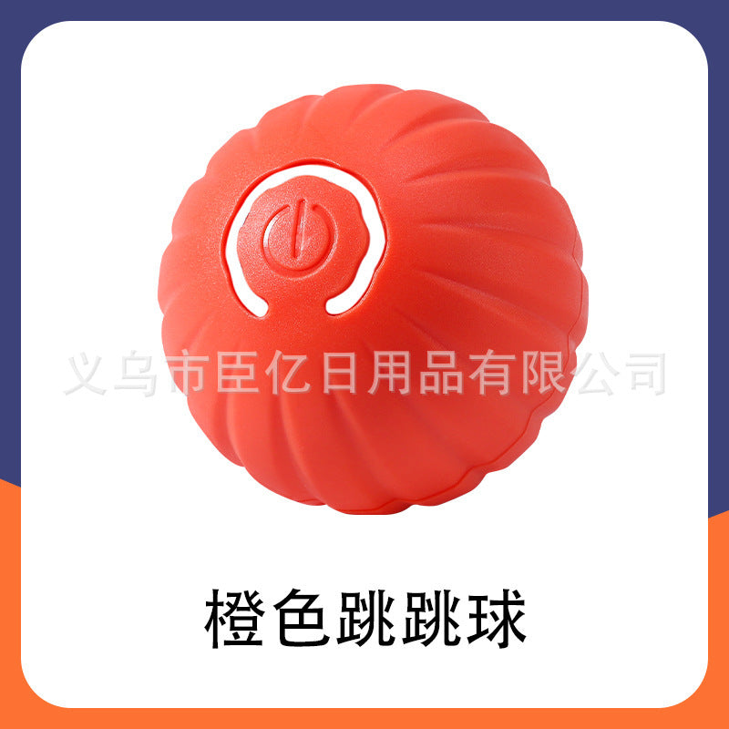 Interactive Cat Teaser Ball