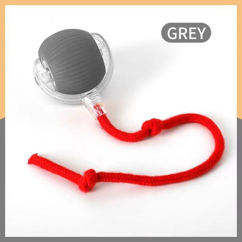 Interactive Cat Teaser Ball