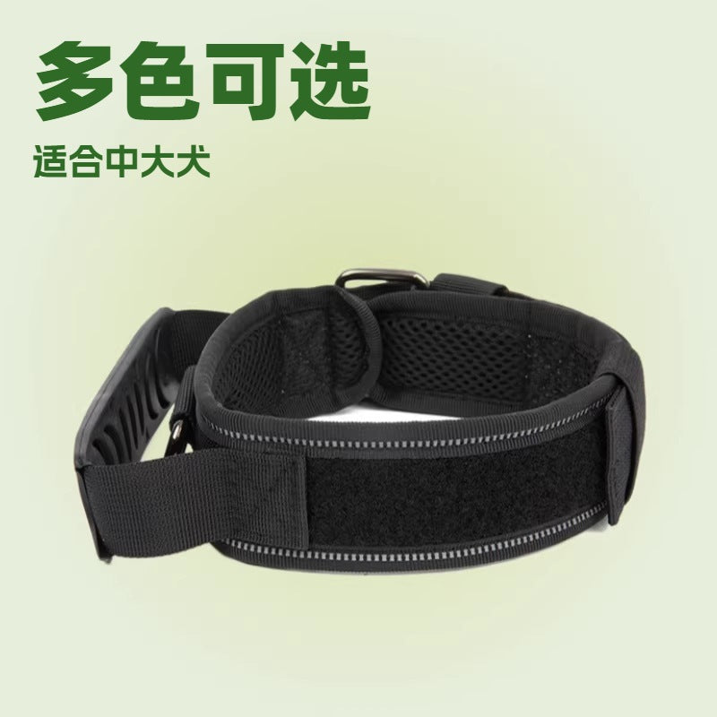Heavy-Duty Nylon Dog Collar