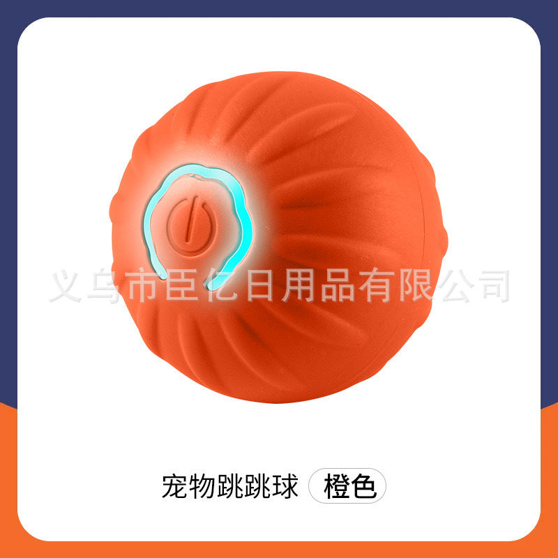 Interactive Cat Teaser Ball