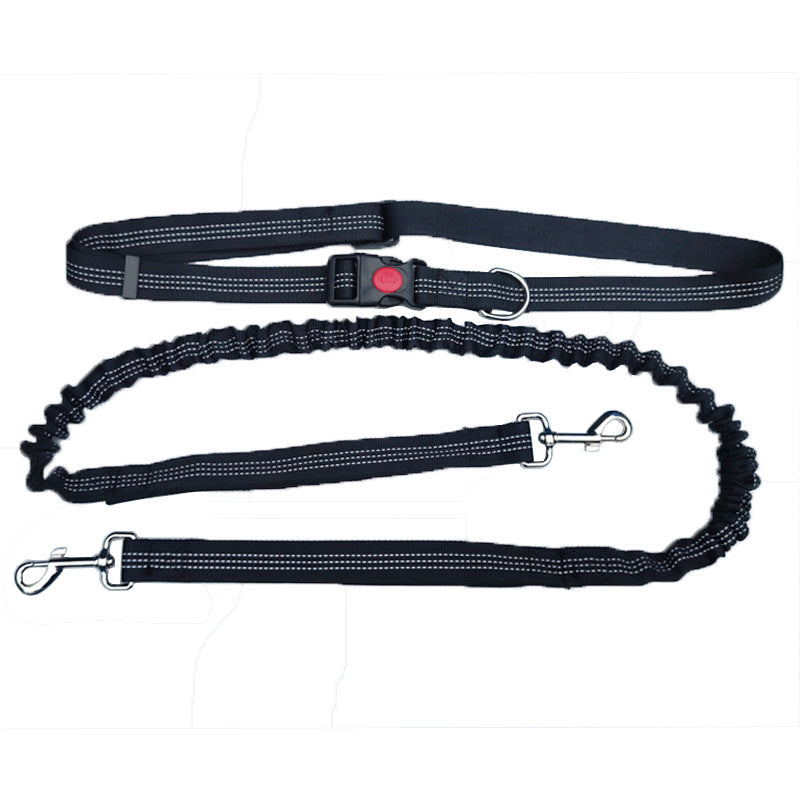 Dog Walking & Training Rope Leash