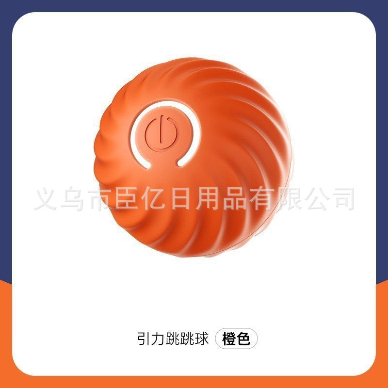 Interactive Cat Teaser Ball
