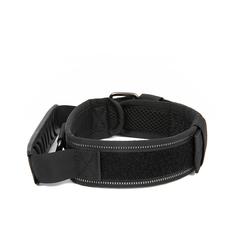 Heavy-Duty Nylon Dog Collar