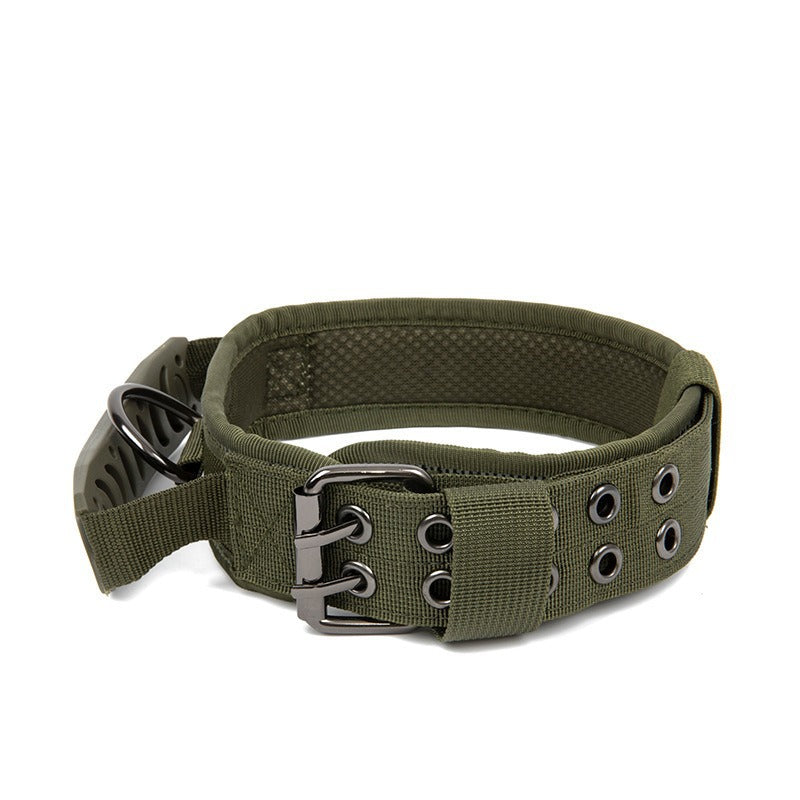 Heavy-Duty Nylon Dog Collar