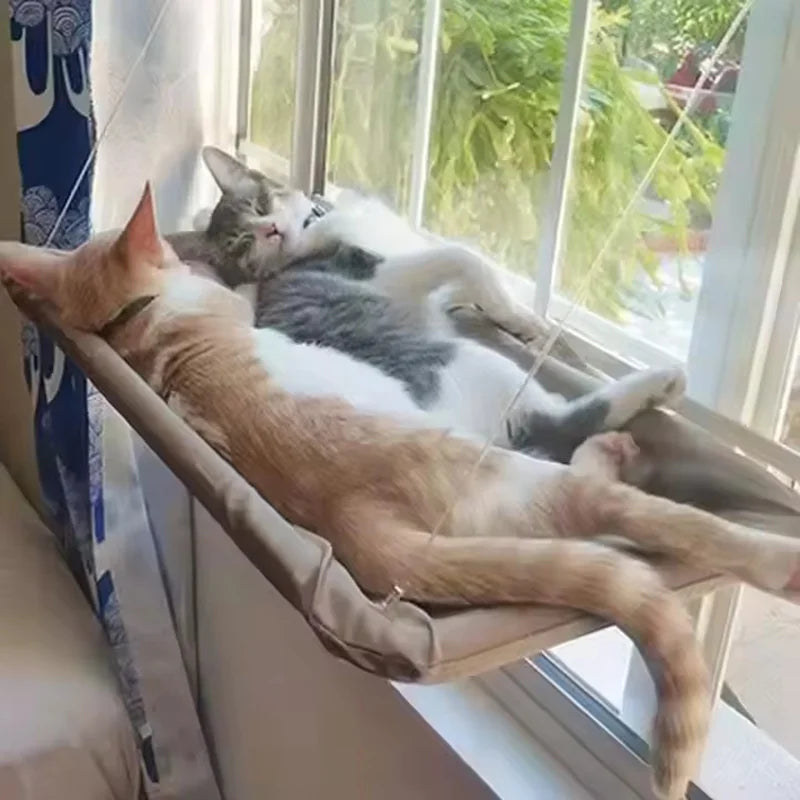 Cat Window Hammock