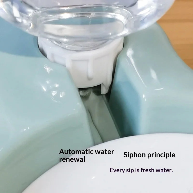 2-in-1 Pet Feeder & Water Dispenser