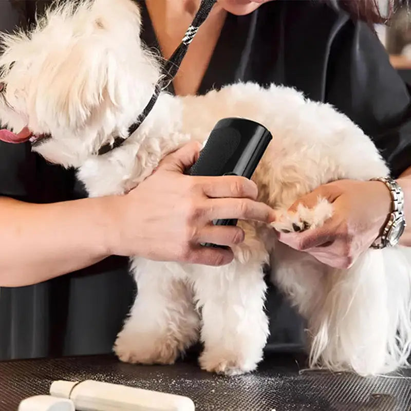 Multi-Size Pet Deshedding Brush